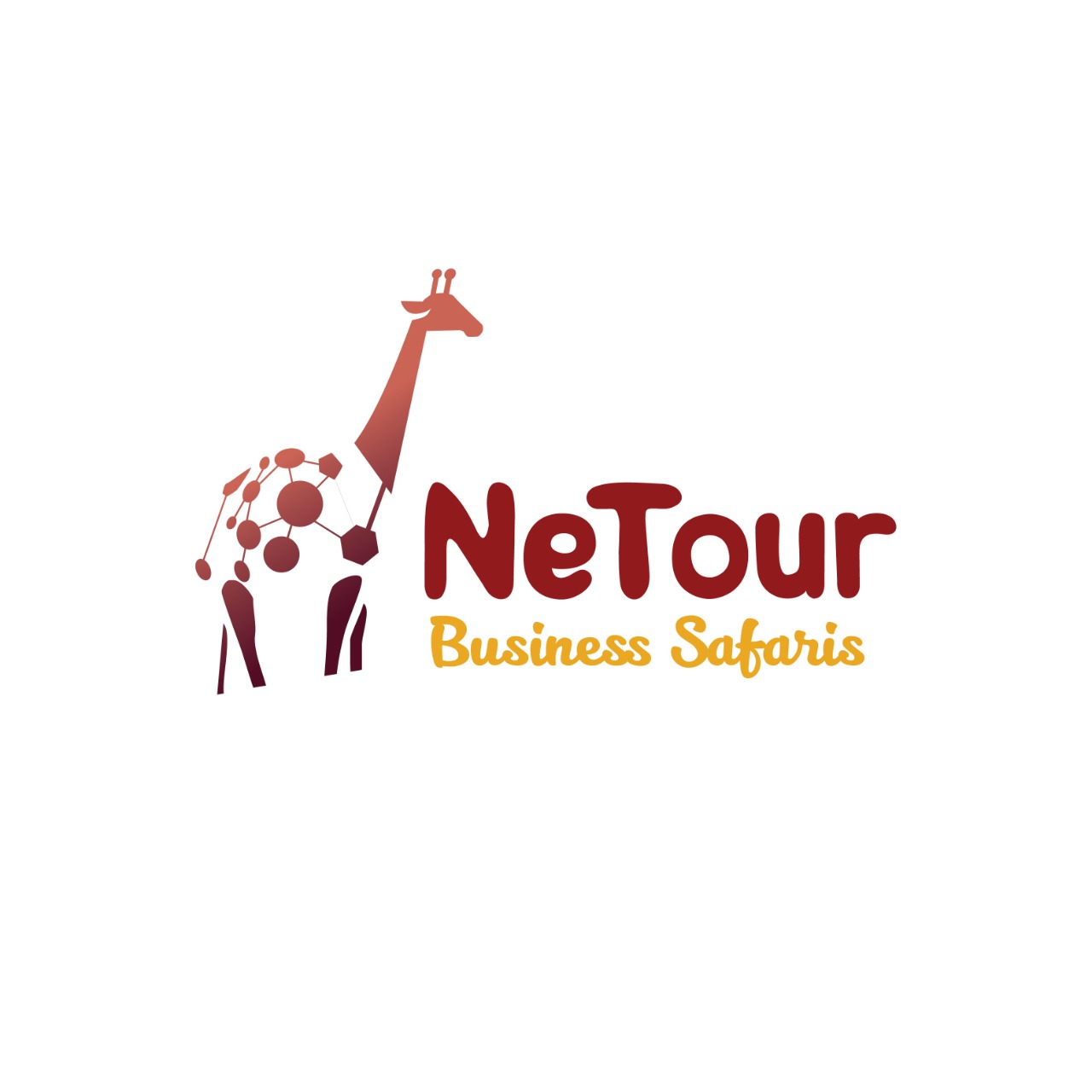NeTour Business Safaris